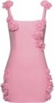 Women's Pink Rosette Applique Mini Dress