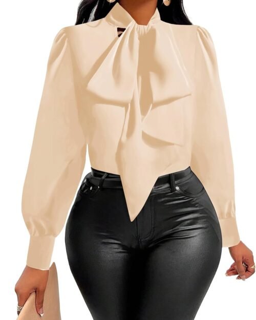 Women's Elegant Bow Tie Neck Long Sleeve Blouse